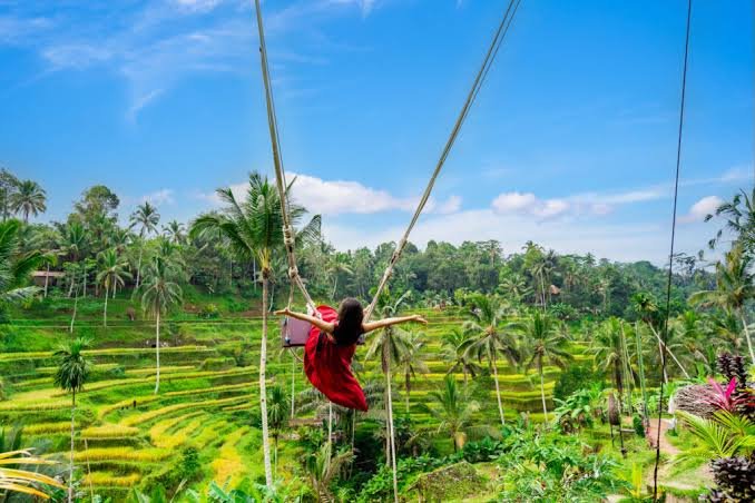 Bali Tour