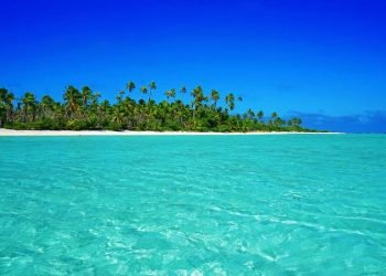 images (24)