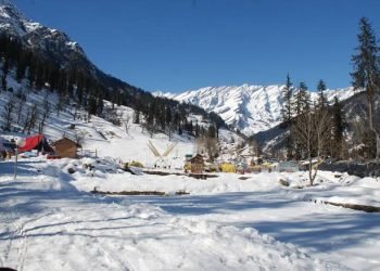 images (43)