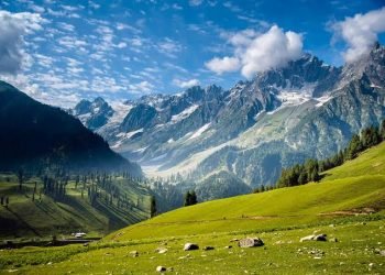 images (72)