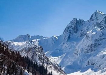 images (74)