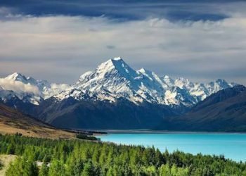 images (81)