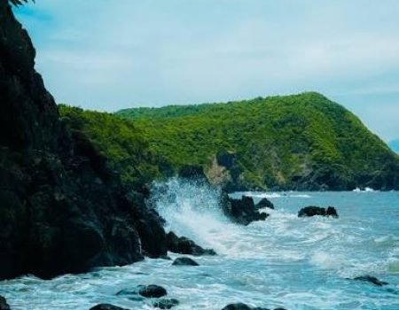 images (95)