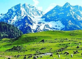 thajiwas-glacier